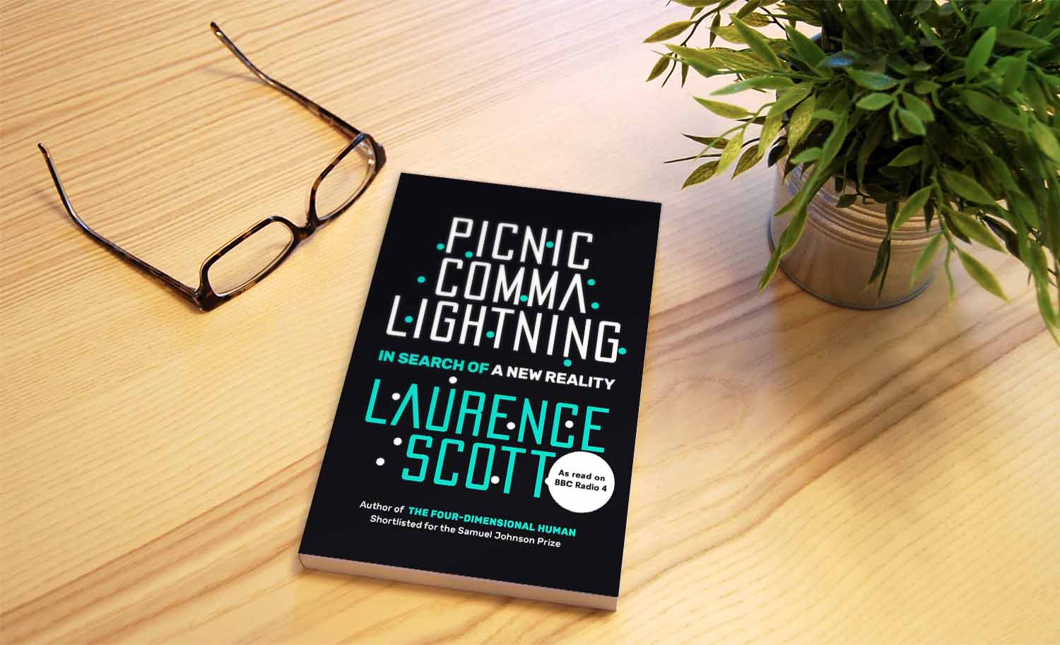 Picnic Comma Lightning book cover